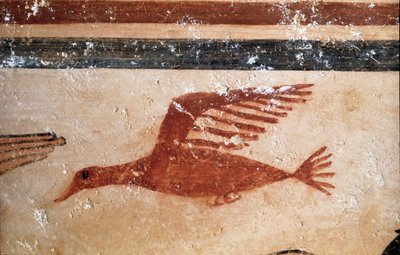 A Bird (Detail) by Etruscan