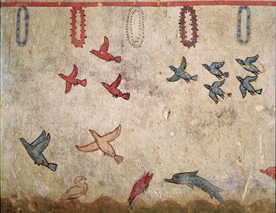 A bird