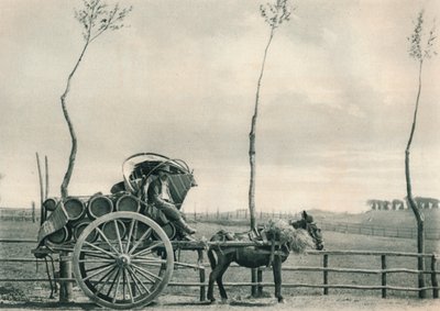 Wine-Carrier in the Campagna, Rome, Italy by Eugen Poppel