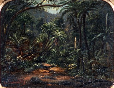 Ferntree Gully in the Dandenong Ranges by Eugen von Guerard