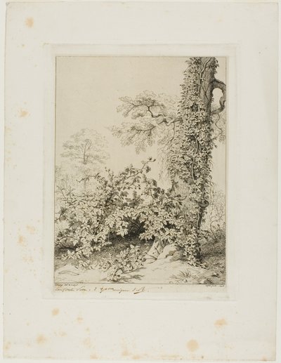 Bramble and Ivy by Eugene Bléry