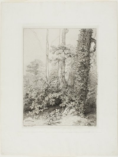 Bramble and Ivy by Eugene Bléry