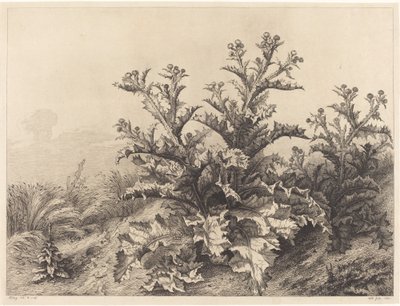 Large Thistle by Eugene Bléry
