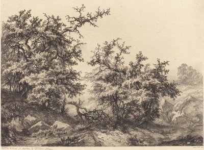 Thornbushes by Eugene Bléry