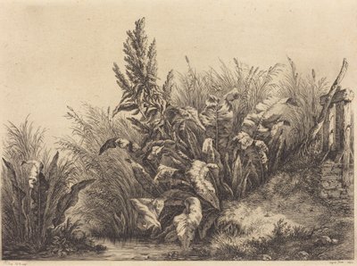 Water Dock by Eugene Bléry