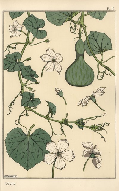 Botanical Illustration of the Gourd by Eugene Grasset