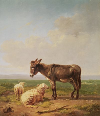 Ass and Sheep, 1849 by Eugene Joseph Verboeckhoven