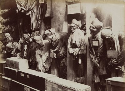 Catacombs, Convento dei Cappucini, Palermo by Eugenio Interguglielmi