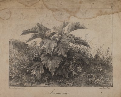 Stramonium by Eugenio Landesio