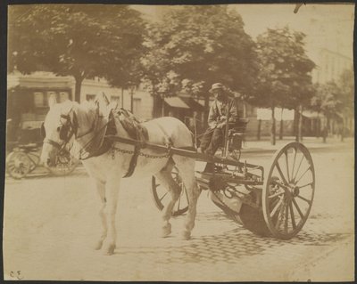 Sweeper Drawn by a Horse by Eugène Atget