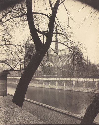 Notre-Dame by Eugène Atget