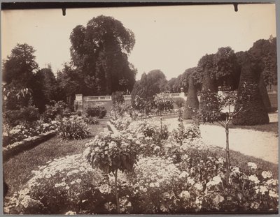 Saint-Cloud by Eugène Atget