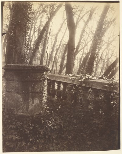 Saint-Cloud Park, Paris by Eugène Atget