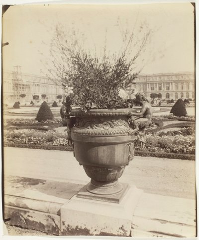 Versailles, Vase by Ballin, 1902 by Eugène Atget