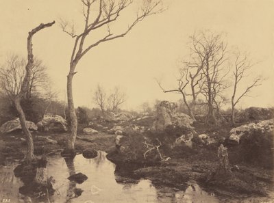 Belle Croix by Eugène Cuvelier