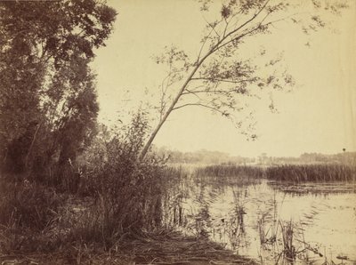Marsh of Fampoux by Eugène Cuvelier