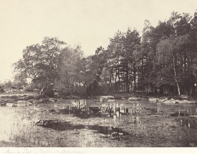 Marsh at Piat (Belle-Croix Plateau) by Eugène Cuvelier