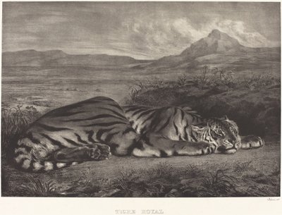 Royal Tiger by Eugène Delacroix