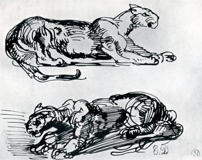 Studies of Panthers, 1913 by Ferdinand Victor Eugene Delacroix