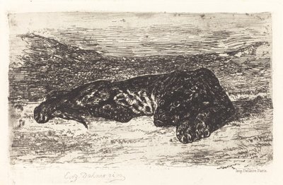 Tiger Sleeping in the Desert by Eugène Delacroix