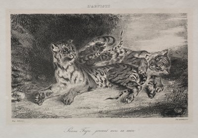 Young Tiger Playing with its Mother by Eugène Delacroix
