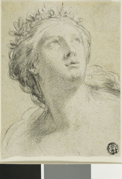 Head of a Woman by Eustache Le Sueur