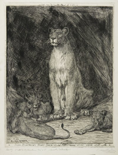 Lioness Seated and Three Cubs by Evert van Muyden