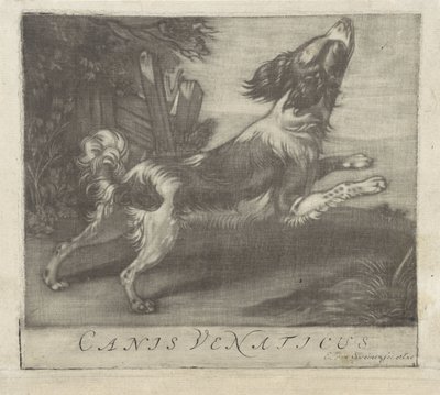 Jumping Dog, Canis Venaticus (title on object) by Evert van Sweinen
