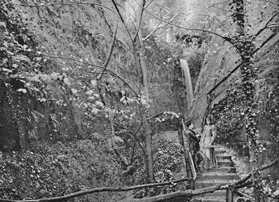 Shanklin Chine by F. N. Broderick