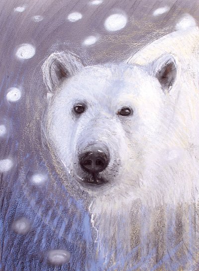 Polar Bear by Faisal Khouja