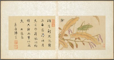 Album of Miscellaneous Subjects, Leaf 7, 1600s by Fan Qi