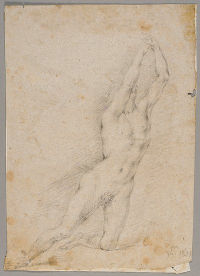 Drawing by Fedele Fischetti