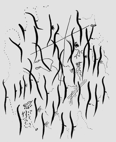 Parque, illustration from 