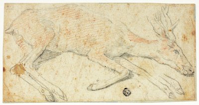 Recumbent Deer by Federico Zuccaro
