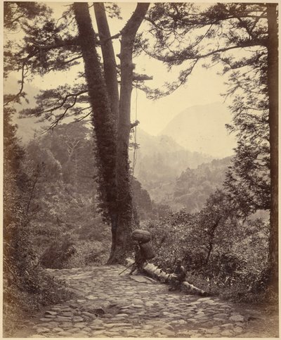 View of the Hakone Pass by Felice Beato