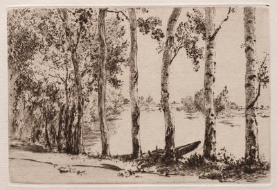 Aspens on the Bank of the Seine by Felix Bracquemond