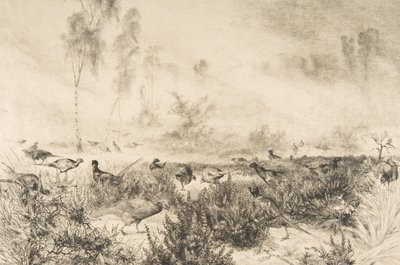 Morning Mists, 1882 by Felix Bracquemond