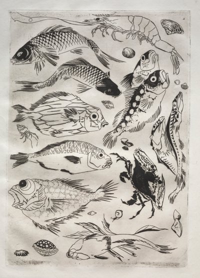 Dinner Service (Rousseau service): Fish (no. 24) by Felix Bracquemond