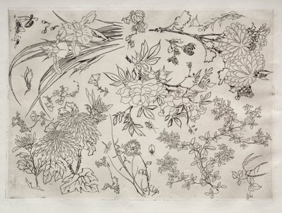 Dinner Service (Rousseau service): Flowers (no. 23) by Felix Bracquemond