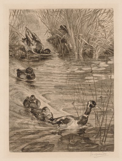 Ducks at Play by Felix Bracquemond