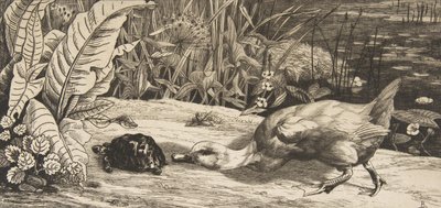 The Unknown by Felix Bracquemond