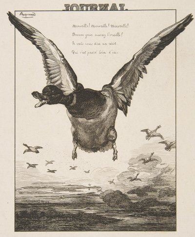 The Duck by Felix Bracquemond