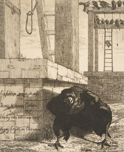 Le Corbeau by Felix Bracquemond