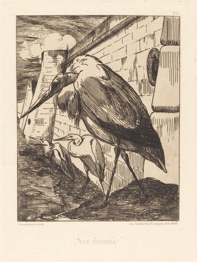 The Storks by Felix Bracquemond