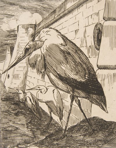 The Storks by Felix Bracquemond