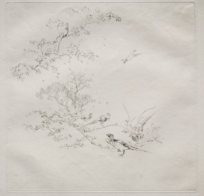 Parisian Service (Haviland service) by Felix Bracquemond