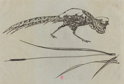 Pheasant by Felix Bracquemond
