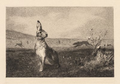 The Hare by Felix Bracquemond