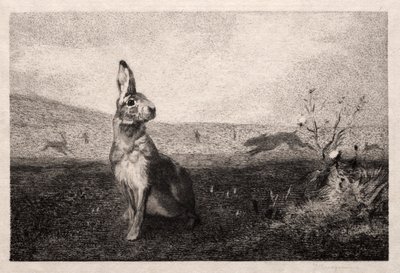 The Hare by Felix Bracquemond