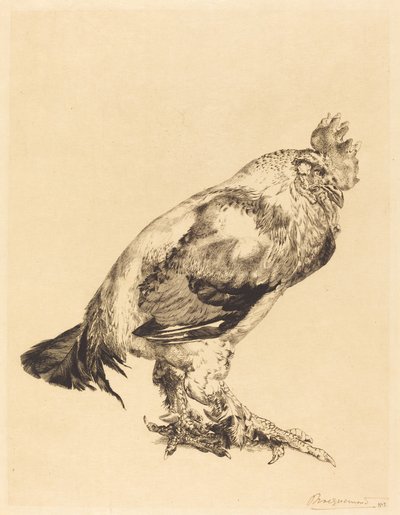 The Old Cock by Felix Bracquemond